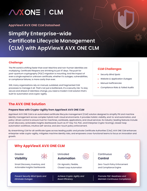 AVX ONE CLM datasheet preview