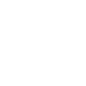 Stealien security module icon